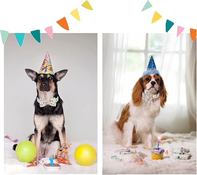 Unqiue Style Paws Birthday Dog Collar, Soft and Cute Dog Bow Tie, Durable Pet Collar with Bow Adjustable Bow Dog Collar for Large Dogs