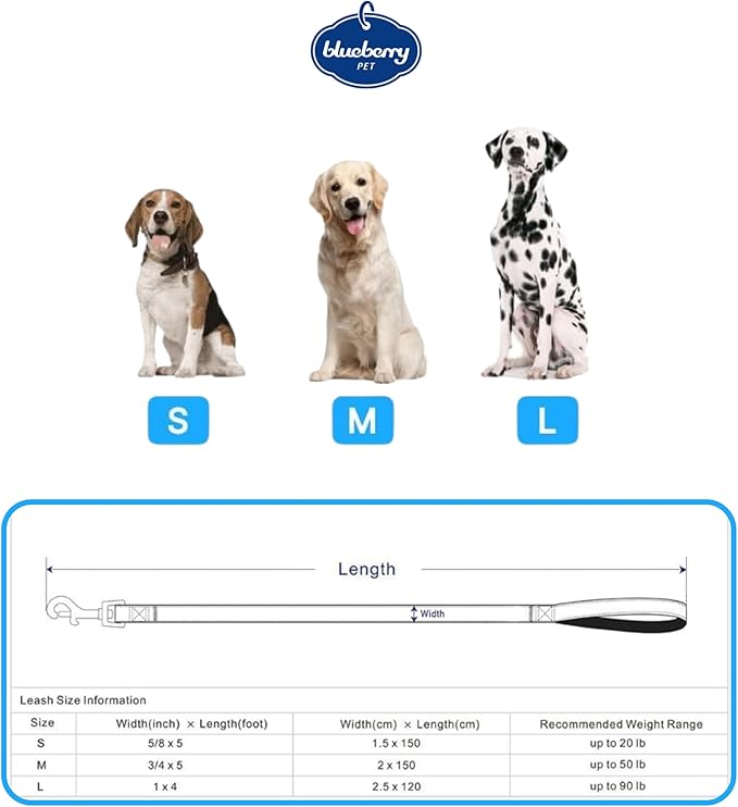 Blueberry Pet Valentine's Day Dog Leash, Velvety Soft-Touch Heart Flocking Lead for Medium Dogs, Rainbow Polka Dots, 5 ft x 3/4"