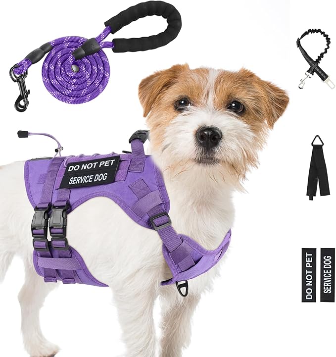 No Pull Tactical Dog Harness for Small Dogs, Escape Proof Molle Dog Vest Harness and Leash Set, Adjustable Military Service Dog Harness with Handle for Medium Large Dogs (Purple, Small)