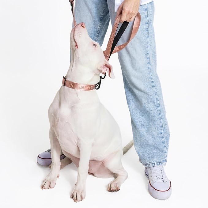 2025 New Edition, Fei & Eve MagEase Dog Collar - Patented Magnetic Buckles | Fur-Safe | Premium 210D Nylon | 450LB Escape-Proof | Adjustable Fit | Medium (Blush)