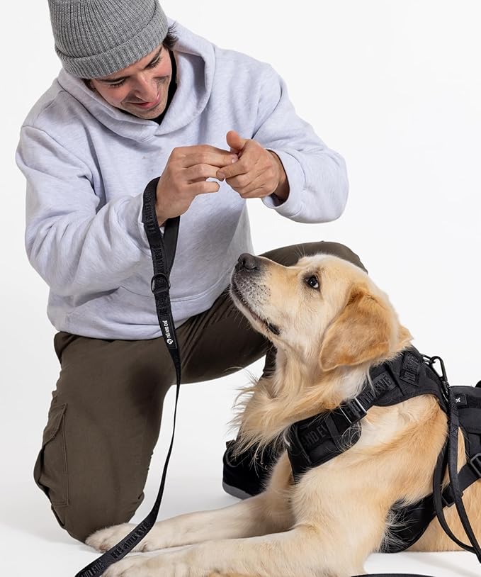 2025 New Edition, Fei & Eve Classic Dog Harness - Quick-Release Buckles | 3-Point No-Pull Control | Heavy-Duty 900D Nylon | Dual Safety Handles | Breathable Mesh | Adjustable Fit | Small,Black