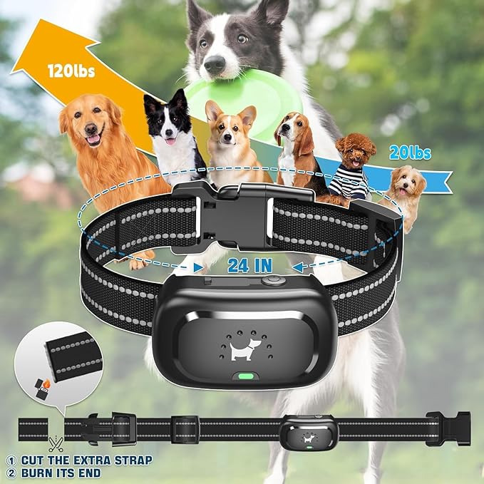 Dog Shock Collar with Remote Control- [Newly Upgraded] Dog Training Collar for Small Medium Large Dogs, Electric Collar for Dogs Training Rechargeable, Waterproof E Collars with Shock-Lock Keypad