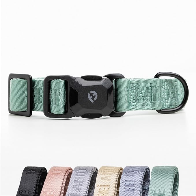 2025 New Edition, Fei & Eve MagEase Dog Collar - Patented Magnetic Buckles | Fur-Safe | Premium 210D Nylon | 450LB Escape-Proof | Adjustable Fit | Large (Glacier Green)