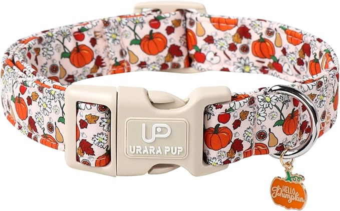 Fall Dog Collar – Halloween Dog Collars-Adjustable Pumpkin & Daisy Floral Collar with Quick Release, Autumn Harvest Dogs Collars
