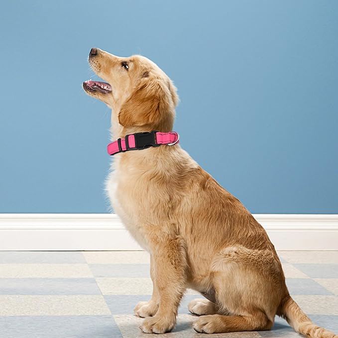 Reflective Dog Collar, Adjustable Soft Neoprene Padded Nylon Pet Collars with Buckle for Puppy and Small Dogs, Cats, Hotpink,XS
