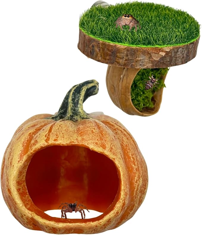 Jumping Spider Enclosure Accessories, Pumpkin Decor Hideout and Platform, Habitat Hide House for Spiders and Small Pets