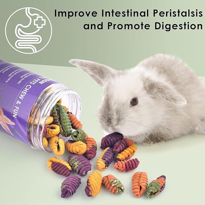 ERKOON Chinchilla Treats, Chew Toys for Teeth for Rabbit Guinea Pig Gerbil Rat Dwarf Hamster(Small Size-2 Pack)