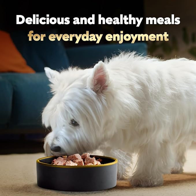 Cesar Wet Dog Food Steak and Chicken Lovers Variety Pack, Adult, Wet Food for Dogs with Real Beef or Chicken, 3.5 oz Easy Peel Trays, 36 Count