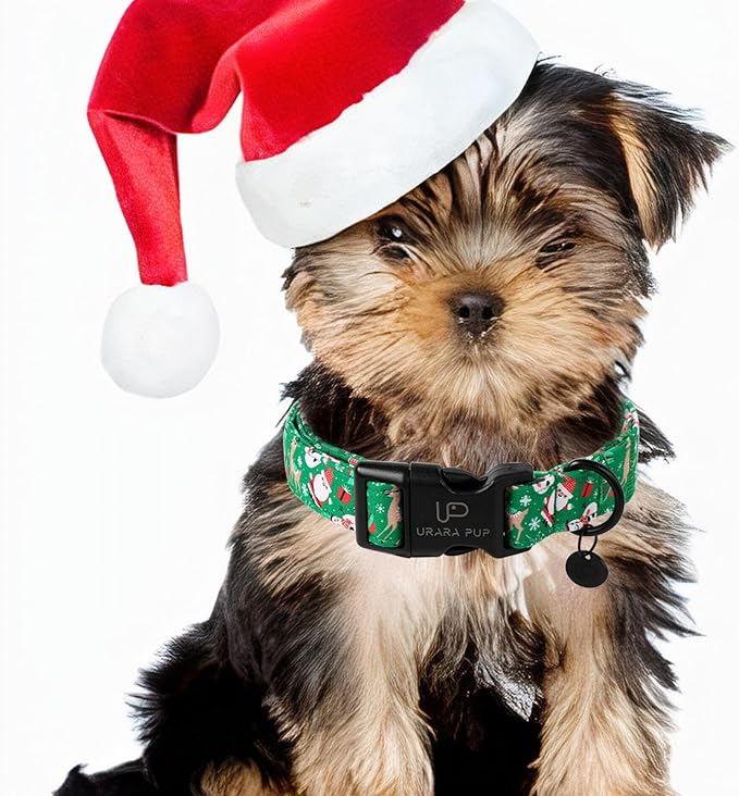 Christmas Santa Claus Dog Collar, Cute Christmas Elk Collar for Puppy Girl Boy Dog, Adjustable Green Dogs Collars for Small Medium Large Dogs
