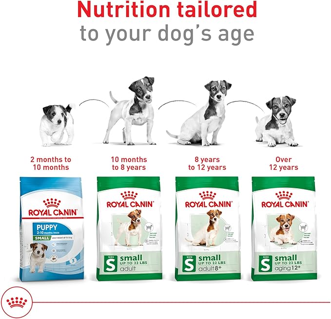 Royal Canin Size Health Nutrition Small Adult Dry Dog Food, 14 lb Bag