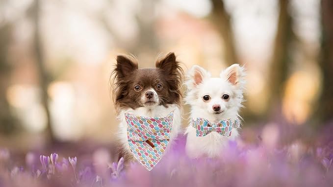 Unique Style Paws Dog Collar with Bow, Bowtie Dog Collar Adjustable Collars for Small Medium Large Dogs and Cats