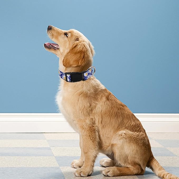 Reflective Dog Collar, Adjustable Soft Neoprene Padded Nylon Pet Collars with Buckle for Puppy and Small Dogs, Cats, Small Daisies Blue,S