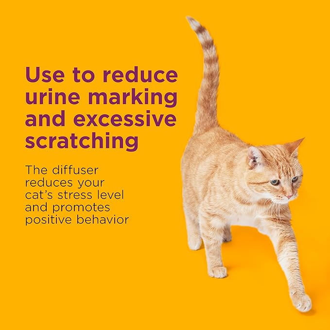Comfort Zone Multi Cat Calming Diffuser Refill, 1 Pack – Cat Calming Pheromone Refills Help Reduce Anxiety, Stress, Scratching, Urine Marking, Multi-Cat Aggression, (30-Day Refill, 30-Day Supply)