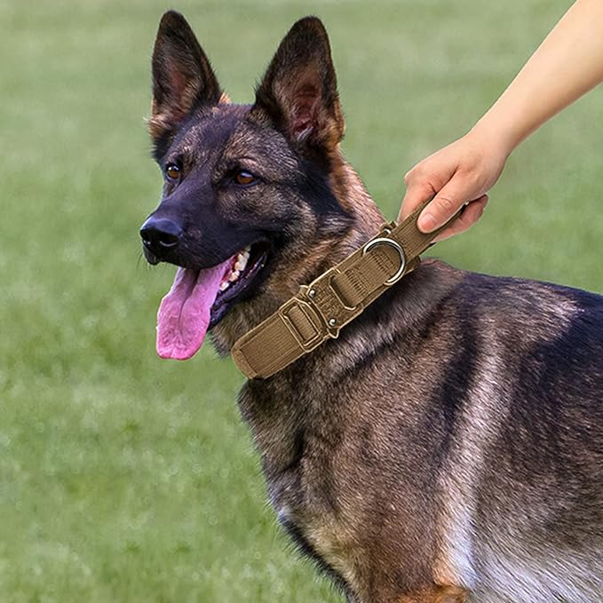 Tactical Dog Collar and Leash Set Heavy Duty Military Dog Collar with Handle and Metal Buckle for Medium and Large Dogs (Brown, L)