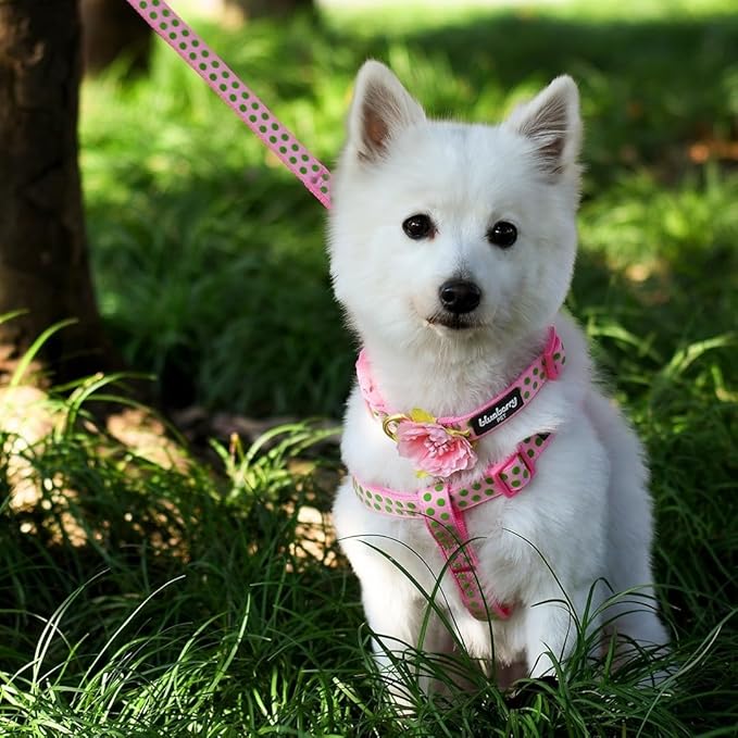 Blueberry Pet Valentine's Day Dog Leash, Velvety Soft-Touch Heart Flocking Lead for Medium Dogs, Baby Pink, 5 ft x 3/4"