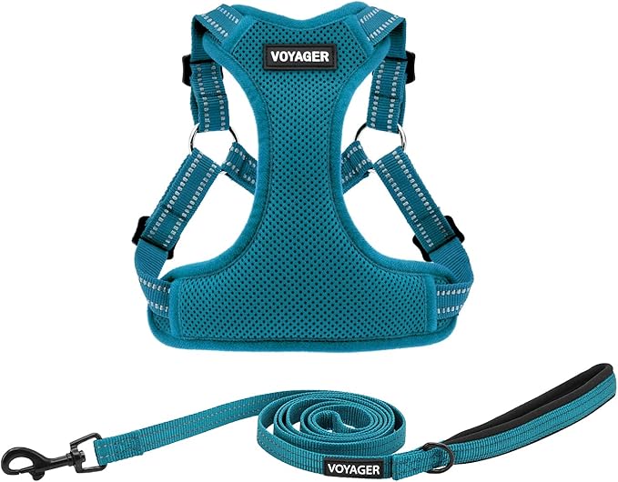 Best Pet Supplies Voyager Mesh Dog Breathable Harness Reflective Stitching, All Weather Adjustable for Walking Training, or Running - Heavy Duty & Durable, Harness Leash Set (Turquoise), XS