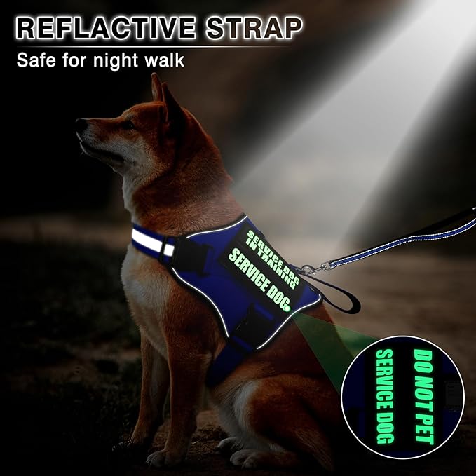 Service Dog Vest Harness and Leash Set+10 Patches,No Pull&Easy Walk Reflective Dog Harness with Soft Padded Handle for Training/Everyday,Fit Small/Medium/Large/Extra-Large Dogs (Blue L)