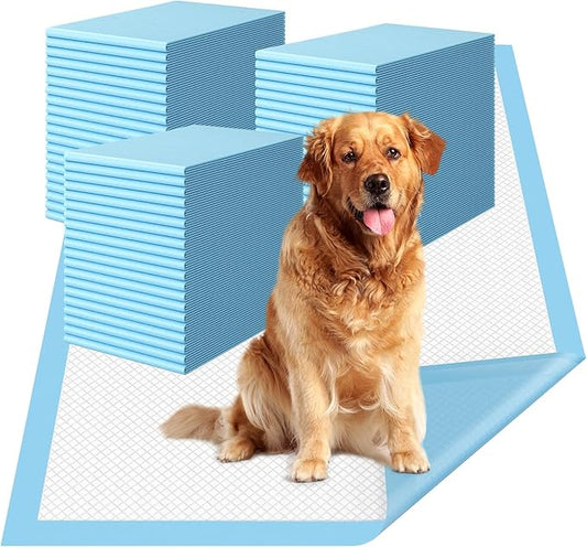 Extra Large Dog Pee Pads, 31"x36" Jumbo Puppy Potty Training Pads | 60 Count Super Absorbent & Leak-Proof Pads for Large Breed Dogs, Great for Crate Lining & Floor Protection
