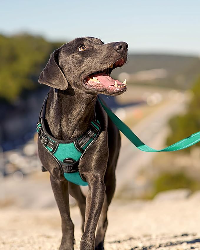 Joytale No Pull Dog Harness for Large Dogs, Reflective Pet Vest with Front Clip, Adjustable Soft Padded Harnesses with Easy Control Handle for Training and Walking, Teal, L