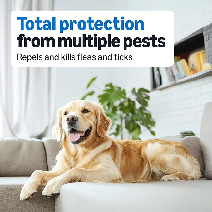 Amazon Basics Flea and Tick Topical Treatment for Dogs, Medium Dog (23-44 lbs), Fast Acting and Long Lasting, 3 Counts, Packaging May Vary