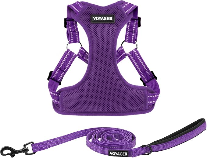 Best Pet Supplies Voyager Mesh Dog Breathable Harness Reflective Stitching, All Weather Adjustable for Walking Training, or Running - Heavy Duty & Durable, Harness Leash Set (Purple), S