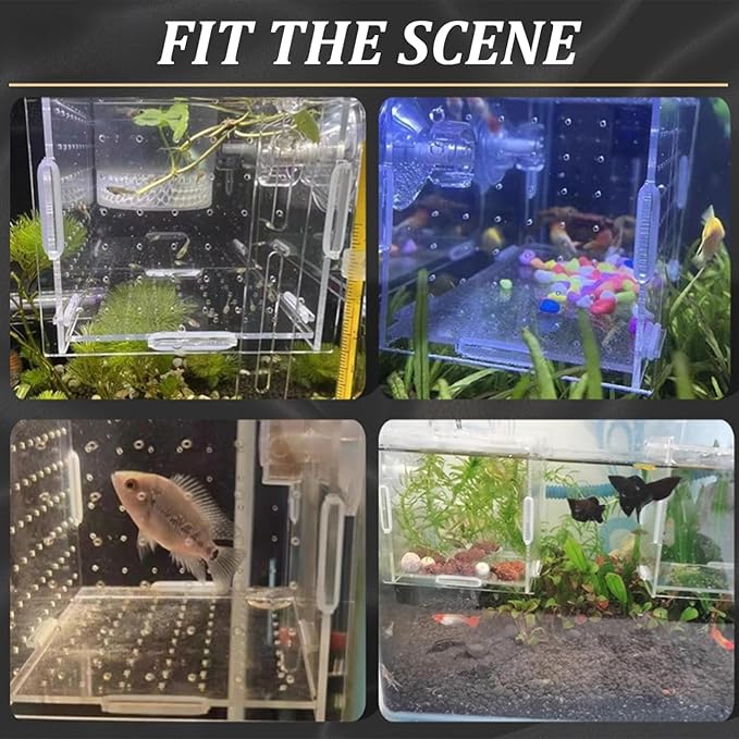 Fish Breeding Box, Transparent Insulation Breeder Box for Fish Tank, 8x4x4 Detachable Acrylic Small Fish Tank with Suction Cups for Shrimp, Clown Fish and Guppy Fish Breeder Box for Aquarium