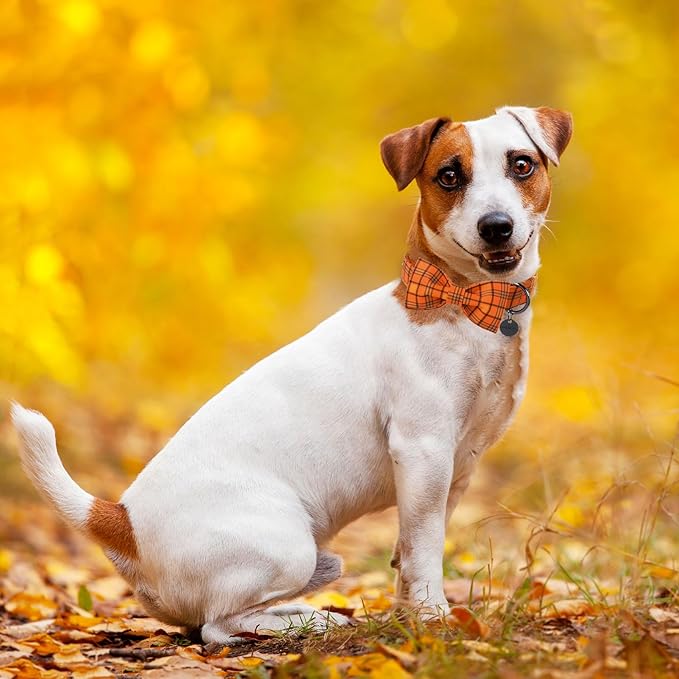 DOGWONG Fall Orange Plaid Dog Collar with Bowtie- Cute Designer Fall Checkered Dog Collars Adjustable Halloween Bowtie Dog Collar for Small Medium Large Dogs M