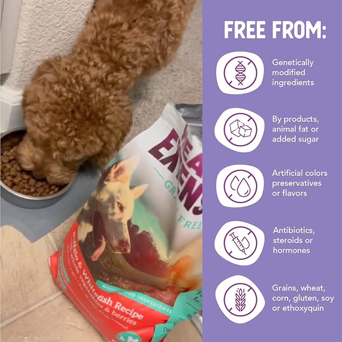 Health Extension Grain Free Buffalo & Whitefish Dry Dog Food - 30+ Superfoods and Probiotics for All Life Stages (23.5lb)