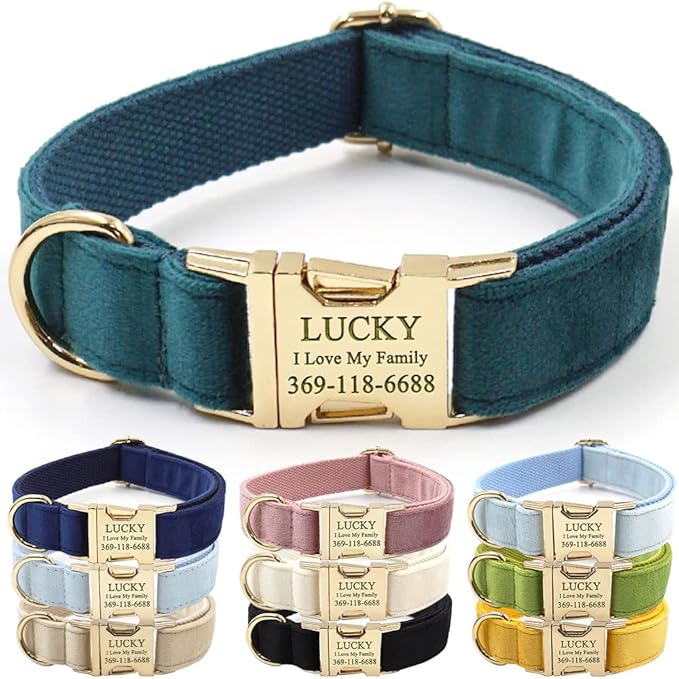 PETDURO Personalized Dog Collar Teal Soft Velvet for Large Medium Small Boy Girl Dog - Custom Collar with Name Phone Number Engraved on Gold Metal Buckle - Add Matching Leash Bow Set via Customize Now