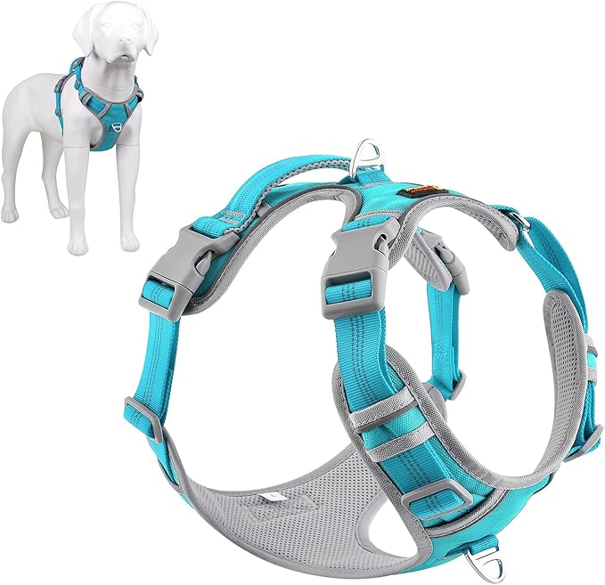 Plutus Pet No Pull Dog Harness, Release at Neck, Reflective Adjustable Dog Vest Harness, Easy Control Handle for Walking, for Small Medium Large Dogs, Cyan, M
