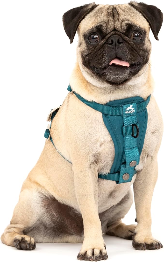 Kurgo Enhanced Strength Tru-Fit Dog Car Harness - Pet Travel Safety Harness - Crash Test Certified Fit - Five Point Adjustment - Secure Buckle - Padded Chest - Ink Blue - Small