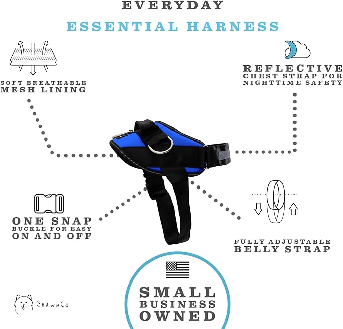 ShawnCo Essential Dog Harness, No-Pull Pet Vest with 3 Leash Clips, No Choke, Reflective, Adjustable and Padded, for Easy Walking and Training for Small, Medium and Large Dogs (Electric Blue,XL)