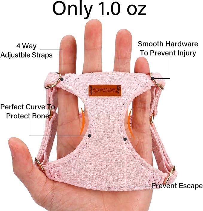 No Pull Dog Harness- Lightweight, Soft, Adjustable Small Harness Collar and Leash Set, Suitable for Cats Puppy Small and Medium-Sized Dog Outdoor Training and Running (Pink, XXS)