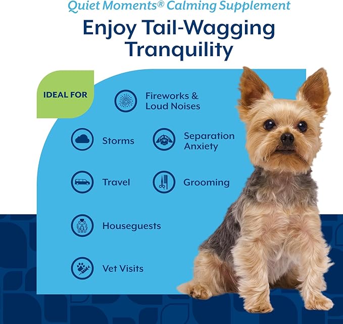 NaturVet Quiet Moments Calming Dog Supplement, Dog Soft Chews with Melatonin to Help Reduce Stress from Storms, the Vet, Fireworks, and Travel, Bacon and Chicken Flavored Pet Supplement, 240 Count Jar