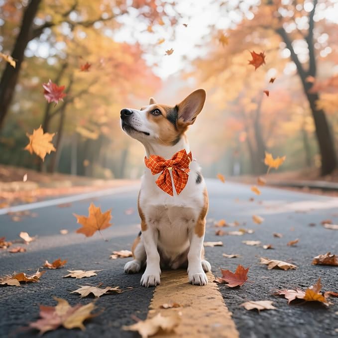 DOGWONG Cotton Fall Dog Collar, Orange Plaid Dog Collar with Bow Halloween Dog Collars Puppy Necklace for Small Medium Large Dogs