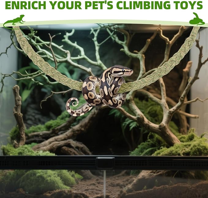 Snake Climbing Rope,Snakes Ladders Toys, Snake Enrichment Supplies, Small Reptile Tank Accessories, Reptile Climbing Toys for Ball Python Corn Hermit Crab Lizards Geckos (Green)