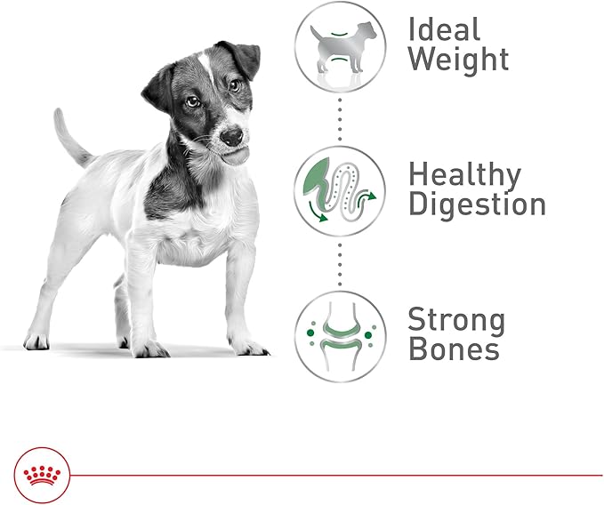 Royal Canin Size Health Nutrition Small Adult Dry Dog Food, 4 lb Bag