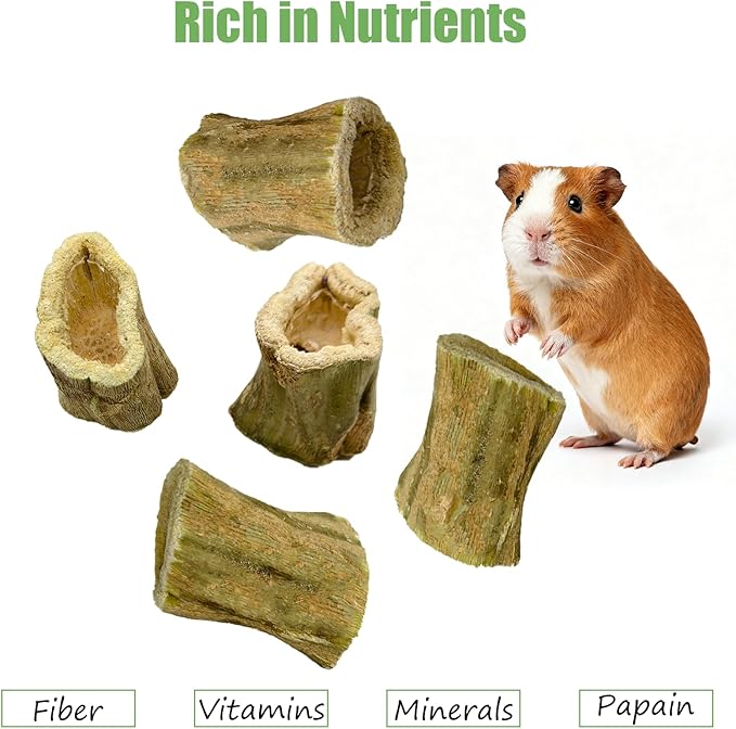Rabbit Chew Toys Guinea Pig Treats Natural Papaya Wood Chew Sticks for Teeth Bunny Guinea Pig Hamster Chinchilla