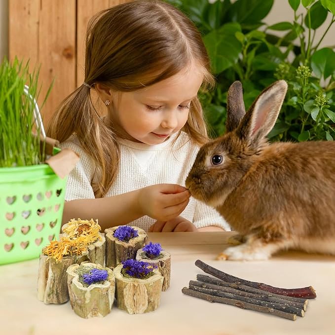 3.5oz Rabbit Chew Toys for Teeth，Bunny Papaya Wood Chew Toys Guinea Pig Treats with Apple Stick for Rabbits Guinea Pigs Hamsters Chinchillas Gerbils Prevent Teeth Overgrowth (3.5 oz, Flower)