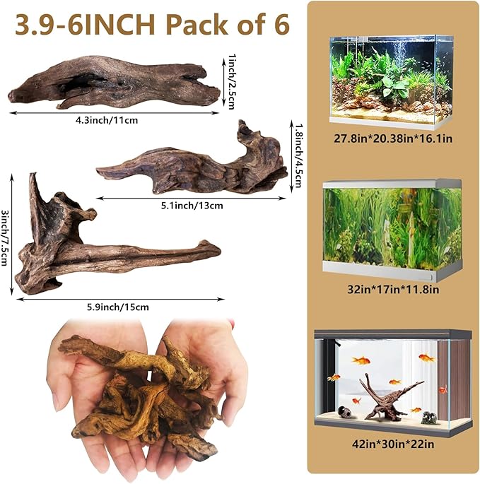 Tfwadmx Natural Small Coral Driftwood for Aquarium Decor 6 Pcs 4-6" Fish Tank Decorations Reptile Decor Assorted Driftwood Branch Reptile Tank Wood Decor