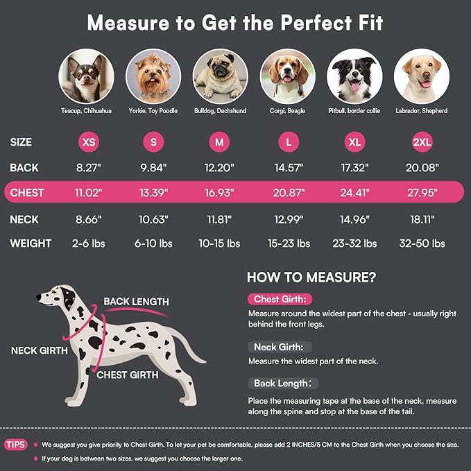 Queenmore Dog Sweater,Soft Fleece Vest Pullover Dogs Jacket with Elastic Stretchable,Warm Winter Dog Coats Cold Weather Doggy Dachshund Sweaters for Small Dogs Cats Boy or Girl (Pink, XL)