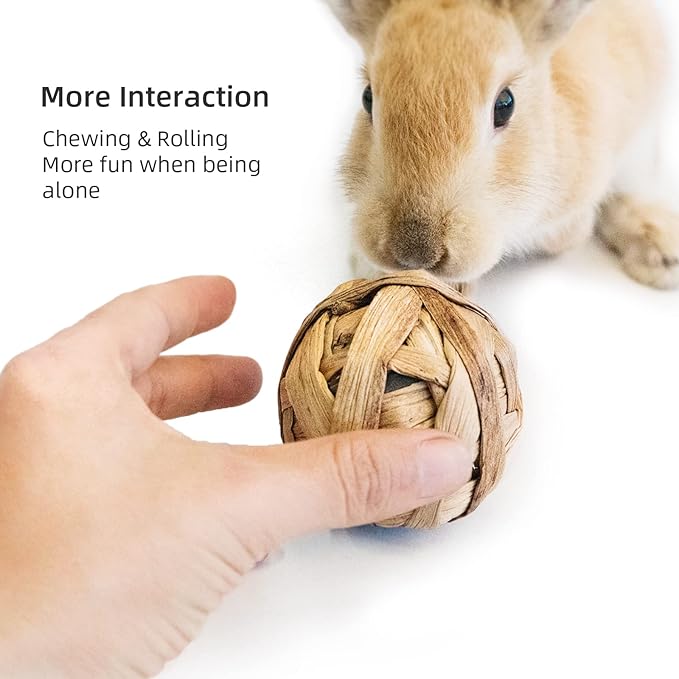 andwe Small Animals Play Balls Rolling Chew Toys & Gnawing Treats for Rabbits Guinea Pigs Chinchilla Bunny Degus - Pet Cage Entertainment Accessories