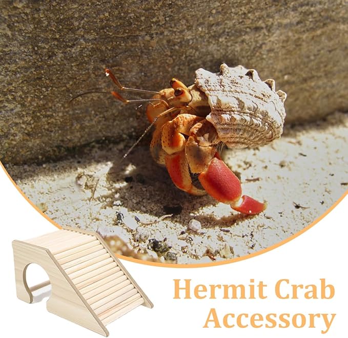 Hermit Crab Hideout with Ramp, Wooden Climbing Toys, Aquarium Ladder Bridge Ramp Toy, Small Animals Tank or Cage Accessories, Hermit Crab Habitat