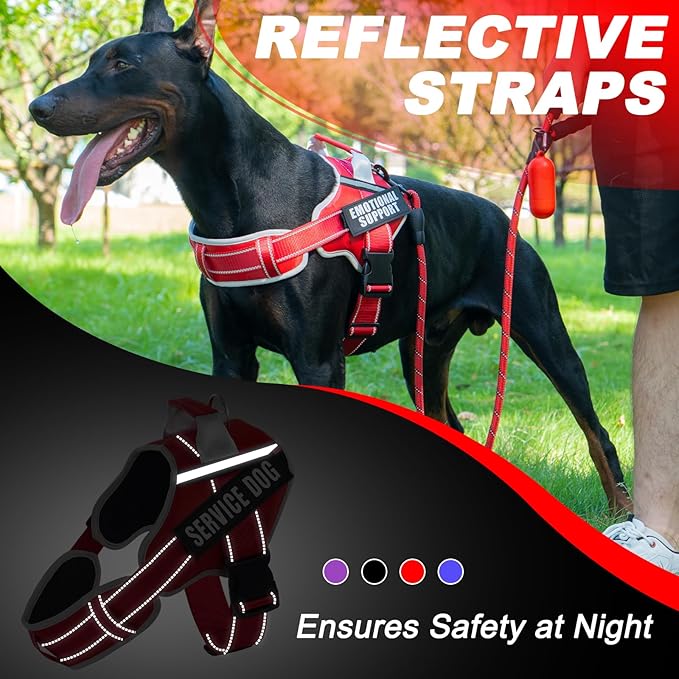 Neck Padded Service Dog Vest Harness and Leash Set, No Pull Adjustable Service Pet Harness with 8 Dog Patches, Reflective in Training Easy Control Pet Vest with 5ft Dog Leash for Medium & Large Dogs