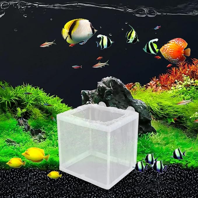 Fish Breeder Box - Fish Isolation Box Mesh Box, Aquarium Breeder Box, Fish Fry Hatchery, Juvenile Separation Net with Suction Cups, Nursery for Guppy Shrimp