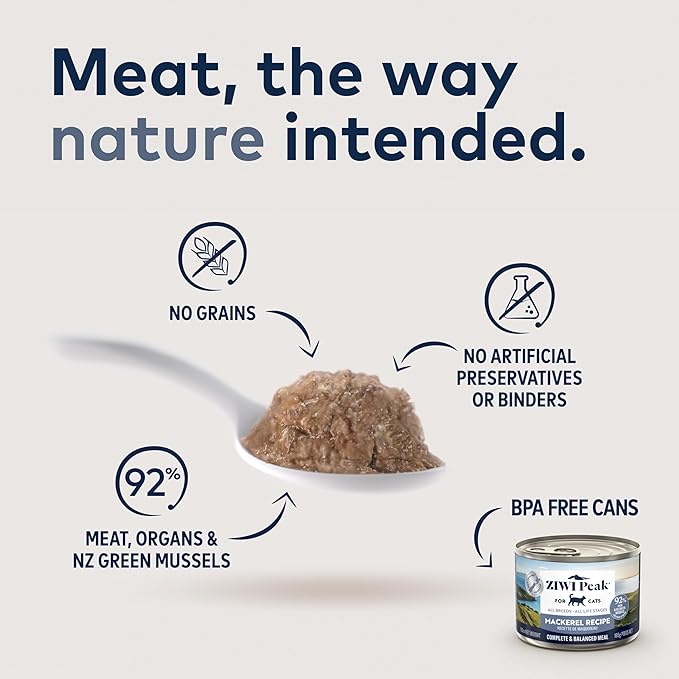 ZIWI Peak Wet Cat Food – All Natural, High Protein, Grain Free, Limited Ingredient, with Superfoods (Mackerel, Case of 12, 6.5oz Cans)