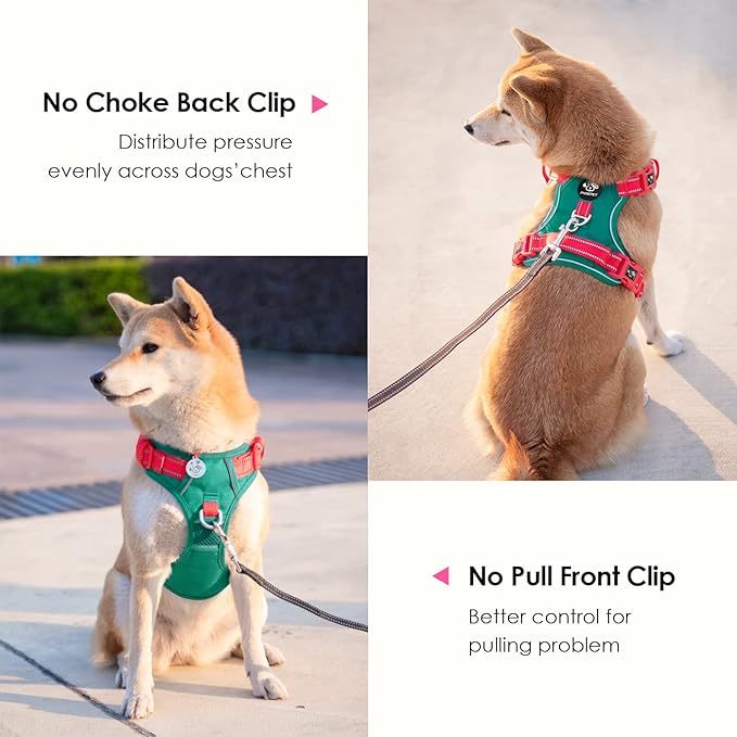 PHOEPET No Pull Dog Harness, Unique Colors Reflective Adjustable Dog Vest, with Soft Training Handle Metal Clips for Small Medium Large Dogs (Dark Green Base & Red Straps,L)