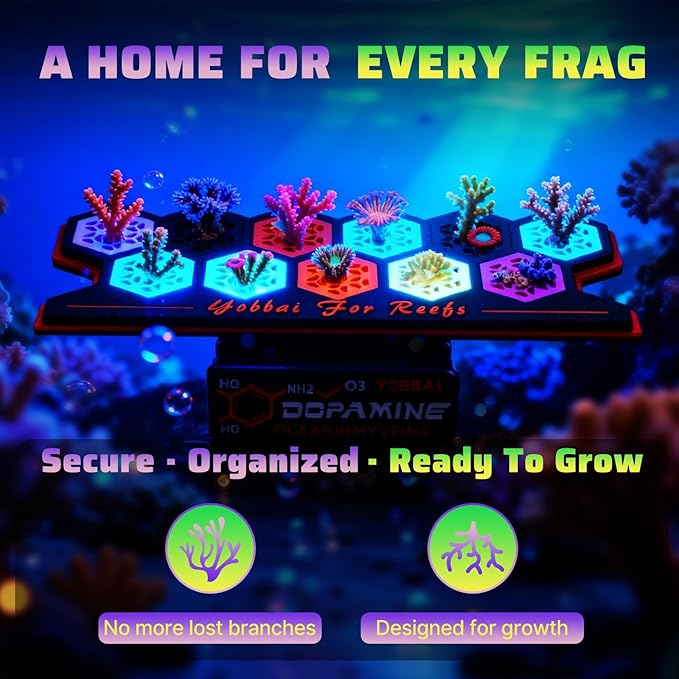 Magnetic Coral Frag Rack for Reef Tank, Saltwater Aquarium Frag Holder with 11 Slots & 13 Frag Plugs, Strong Magnet Glass Mount (Up to ~2cm), Multi-Use Aquarium & Hydroponic Plant / Reptile Display Stand