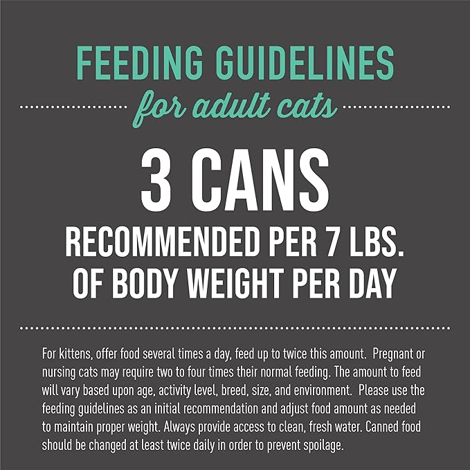 Tiki Cat After Dark, Chicken & Pork, High-Protein and 100% Non-GMO Ingredients, Wet Cat Food for Adult Cats, 2.8 oz. Can (12 Count)