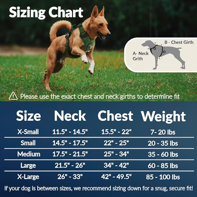 No Pull Dog Harness - Durable Polyester Puppy Harness with Front Anti-Pull Loop, Reflective Strips, and Quick-Release Clips for Small, Medium, and Large Dogs (Forest Green, Small)